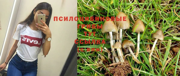 герыч Вяземский