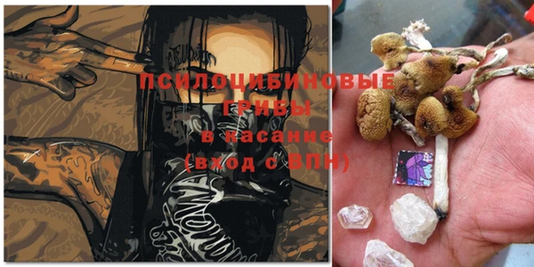 герыч Вяземский