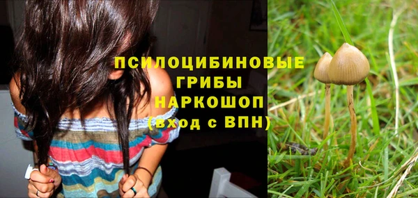 хмурый Верея
