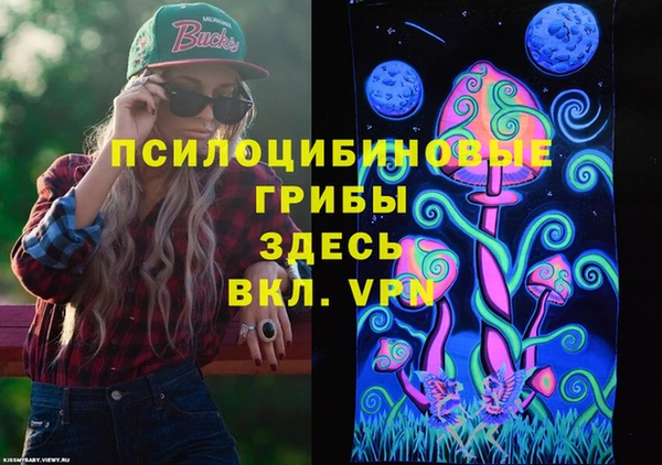 герыч Вяземский