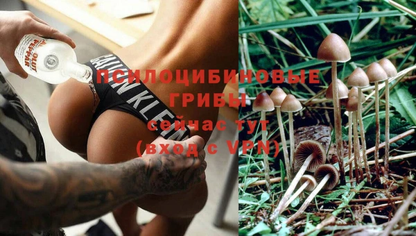 марки lsd Горно-Алтайск