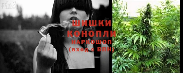 хмурый Верея