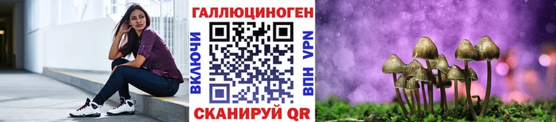 Галлюциногенные грибы Psilocybe Заозёрск